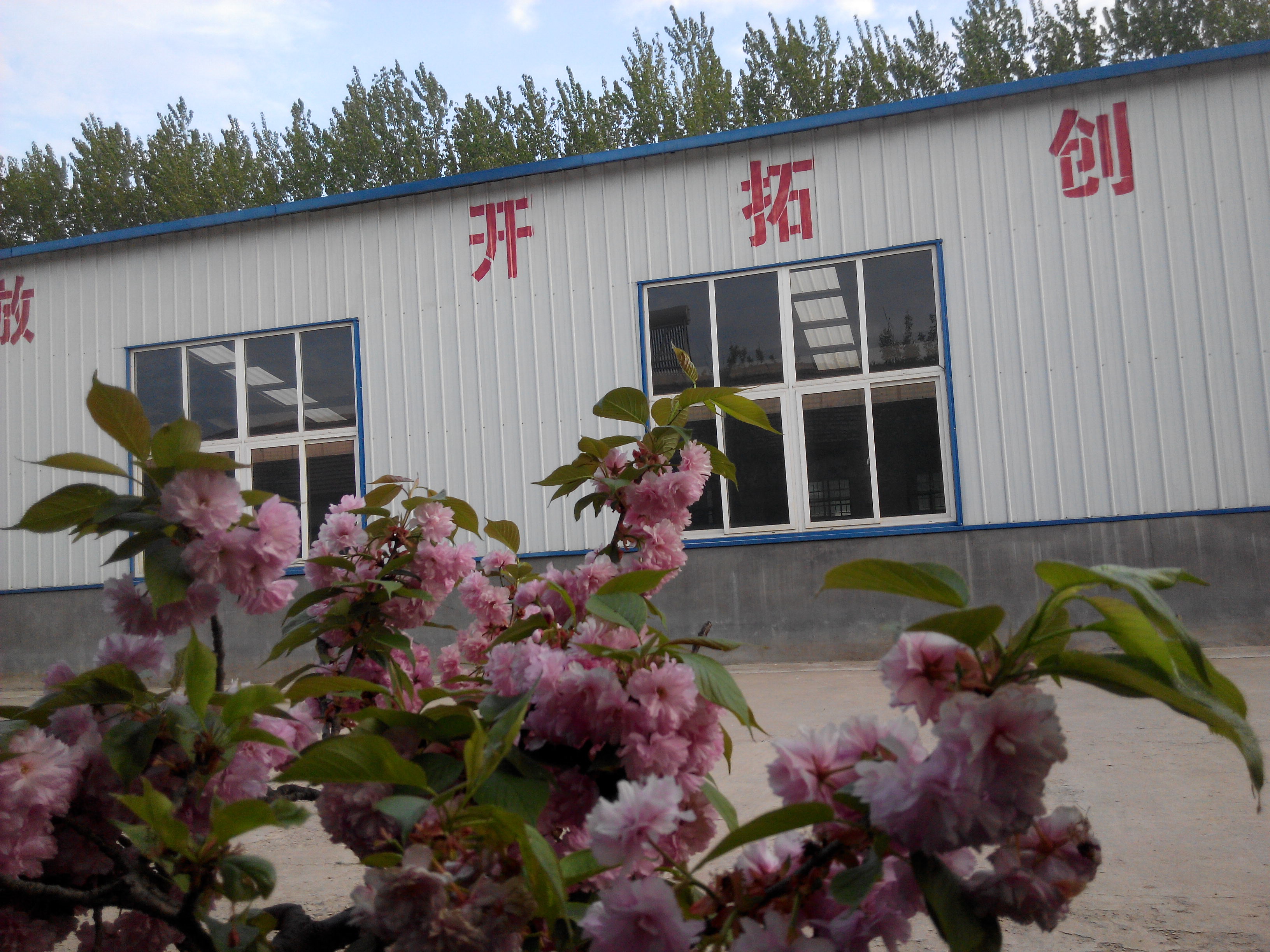 乳膠發(fā)泡機的價格