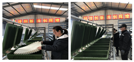 天然乳膠枕頭全自動(dòng)生產(chǎn)線