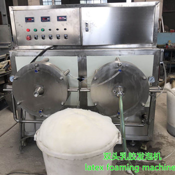溫州客戶成功定制乳膠發(fā)泡機一臺